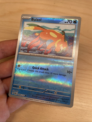 Pokemon Card Buizel MISPRINT HOLO + REVERSE In ONE Obsidian Flames Near Mint