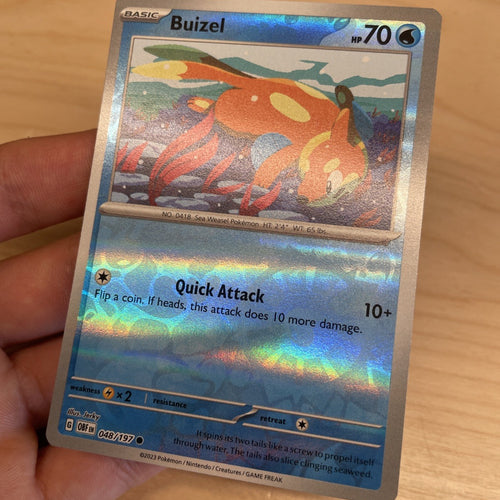 Pokemon Card Buizel MISPRINT HOLO + REVERSE In ONE Obsidian Flames Near Mint