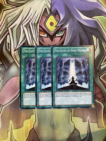 SDGU-EN023 x3 The Gates of Dark World Common Excellent Condition Yugioh