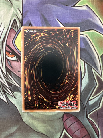 MVP1-ENS16 Kiwi Magician Girl Secret Rare GERMAN 1st Edition NM Yugioh Card (back)