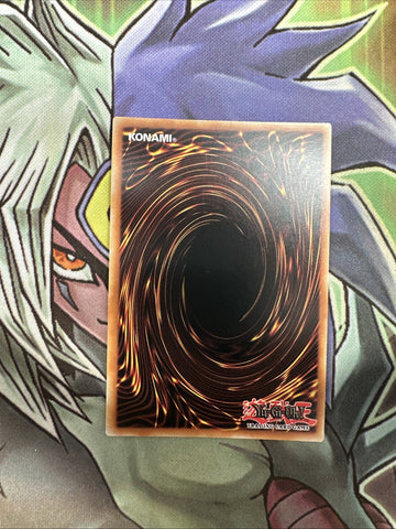 DUSA-EN078 Blackwing - Gale The Whirlwind Ultra Rare 1st Edition NM Yugioh Card (back)