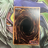 DUSA-EN078 Blackwing - Gale The Whirlwind Ultra Rare 1st Edition NM Yugioh Card