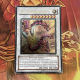 ABPF-EN042 Yugioh! Sun Dragon Inti Ultimate Rare UNL Edition LP
