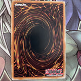 STP3-EN031 The Golden Apples Common UNL Edition Near Mint Yugioh