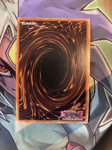 AC19-EN012 Sphere Kuriboh Super Rare 1st Edition NM Yugioh Card (back)