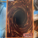 Ghostrick Renovation EXFO-EN074 Common NM/LP Yugioh Cards
