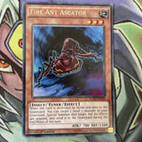 LC5D-EN224 Fire Ant Ascator Rare 1st Edition NM Yugioh Card