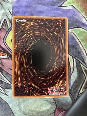 LC5D-EN224 Fire Ant Ascator Rare 1st Edition NM Yugioh Card (back)
