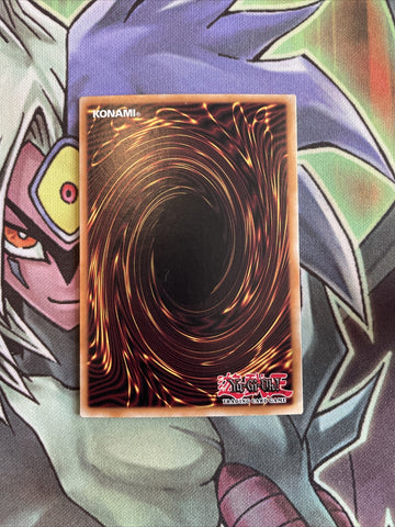 MVP1-ENS46 Blue-Eyes Alternative White Dragon Secret 1st Edition NM Yugioh Card (back)