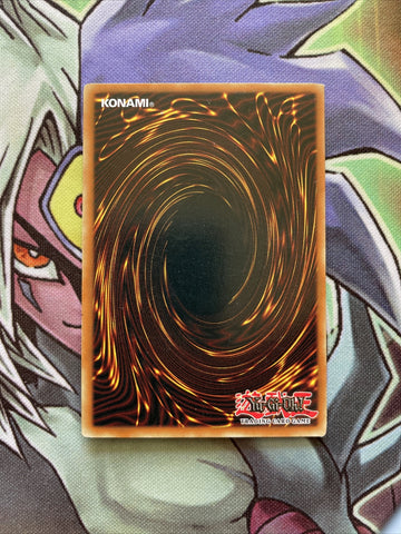 CDIP-EN031 Rampaging Rhynos Ultimate Rare 1st Edition Near Mint Yugioh Card (back)