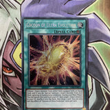 LDS1-EN073 Cocoon Of Ultra Evolution Secret Rare 1st Edition NM Yugioh Card