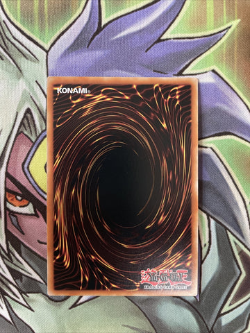 LDS1-EN073 Cocoon Of Ultra Evolution Secret Rare 1st Edition NM Yugioh Card (back)