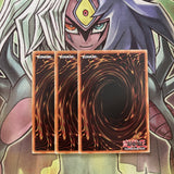SDRR-EN021 x3 Raiden, Hand of the Lightsworn Common Excellent Condition Yugioh