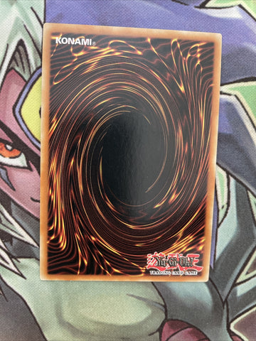 CYAC-EN031 Wannabee! Super Rare 1st Edition NM Yugioh Card (back)