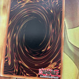 TDIL-EN025 True King Agnimazud, the Vanisher - Ultra Rare 1st Edition Yugioh