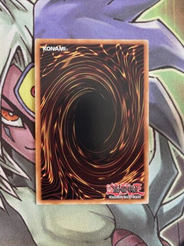 BACH-EN068 Dinomorphia Domain Secret Rare 1st Edition NM Yugioh Card (back)
