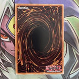 BACH-EN068 Dinomorphia Domain Secret Rare 1st Edition NM Yugioh Card