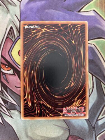 LEHD-ENC33 Dark Rebellion XYZ Dragon Common 1st Edition NM Yugioh Card (back)