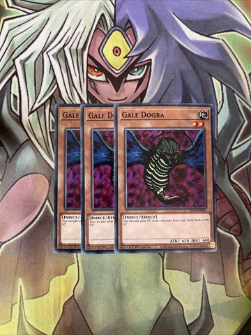 SDCS-EN021 x3 Gale Dogra Common Excellent Condition Yugioh