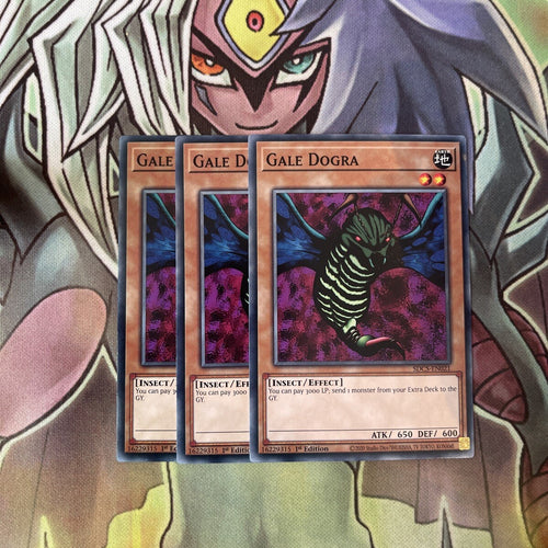 SDCS-EN021 x3 Gale Dogra Common Excellent Condition Yugioh