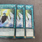 LCKC-EN109 x3 Dragon Revival Rhapsody Secret Rare 1st Edition Mint YuGiOh