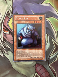 Smirking Gnome
