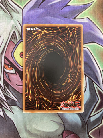 DR1-EN136 Cat's Ear Tribe Common UNL Edition NM Yugioh Card (back)