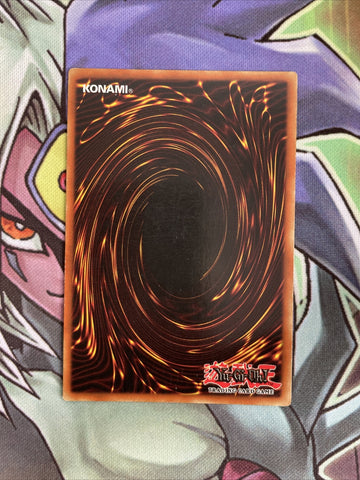 BPT-004 Lord Of D. Secret Rare Limited Edition NM Yugioh Card (back)