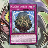 OP20-EN025 Naturia Sacred Tree Common Unl Edition NM Yugioh Card