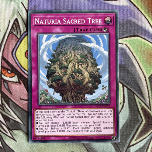 OP20-EN025 Naturia Sacred Tree Common Unl Edition NM Yugioh Card