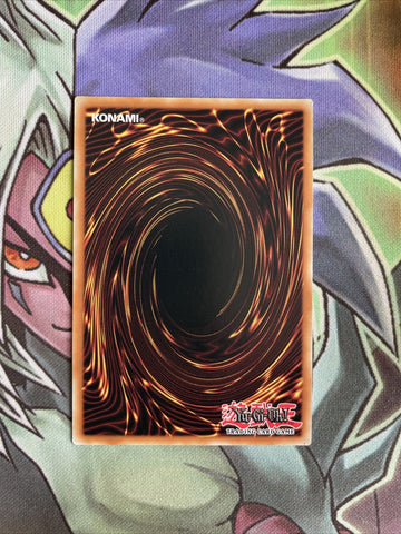 OP20-EN025 Naturia Sacred Tree Common Unl Edition NM Yugioh Card (back)