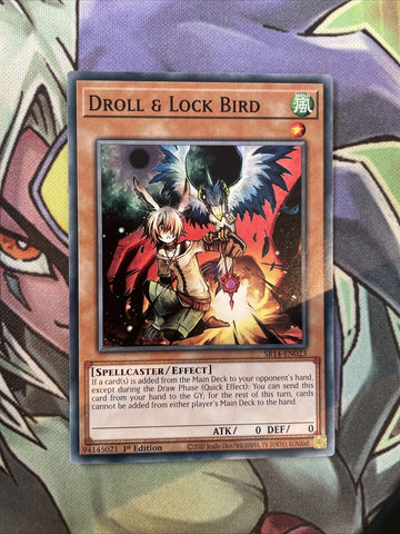 SR14-EN023 Droll & Lock Bird Common 1st Edition NM Yugioh Card