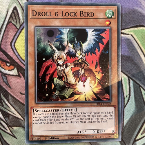 SR14-EN023 Droll & Lock Bird Common 1st Edition NM Yugioh Card