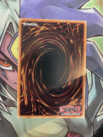 SR14-EN023 Droll & Lock Bird Common 1st Edition NM Yugioh Card (back)