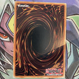 SR14-EN023 Droll & Lock Bird Common 1st Edition NM Yugioh Card