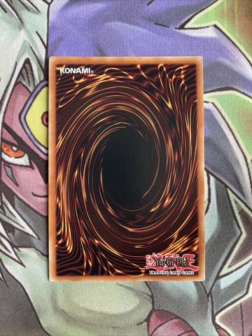 DAMA-EN054 Branded Opening Super Rare 1st Edition NM Yugioh Card (back)