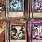 Deck Graydle YuGiOh 16 Cards Core