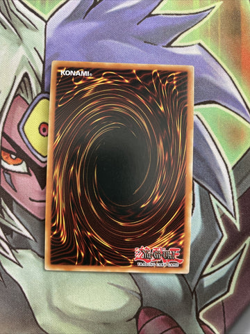 MAGO-EN015 Miscellaneousaurus Premium Gold 1st Edition NM Yugioh Card (back)
