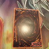 YG05-EN001 1x Ultra Rare Darklord Desire Yugioh
