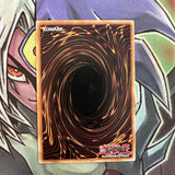 AP04-EN021 Ma'At Common Unlimited Edition NM Yugioh Card