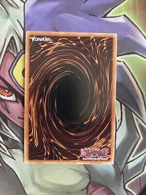SR13-EN040 Skill Drain Common 1st Edition NM Yugioh Card (back)