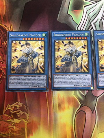RATE-EN038 3x Rare Shinobaron Peacock 1st Edition Yugioh (back)
