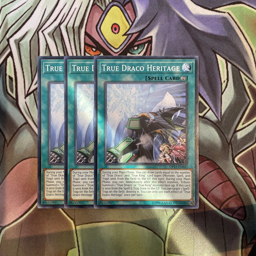 OP11-EN020 True Draco Heritage Common x3 Excellent Condition Yugioh