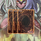 DRL2-EN035 x3 Prediction Princess Tarotrei Secret Excellent Condition Yugioh