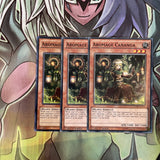 CORE-EN035 x3 Aromage Canaga Common Excellent Condition Yugioh