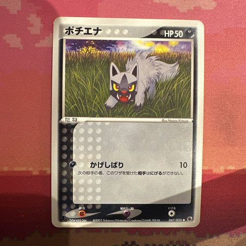 Japanese Pokemon Card Poochyena Japanese Expansion Pack 1st 047/055 Near Mint