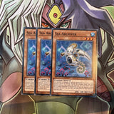 OP12-EN016 Sea Archiver Common x3 Excellent Condition Yugioh