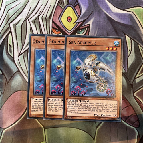 OP12-EN016 Sea Archiver Common x3 Excellent Condition Yugioh