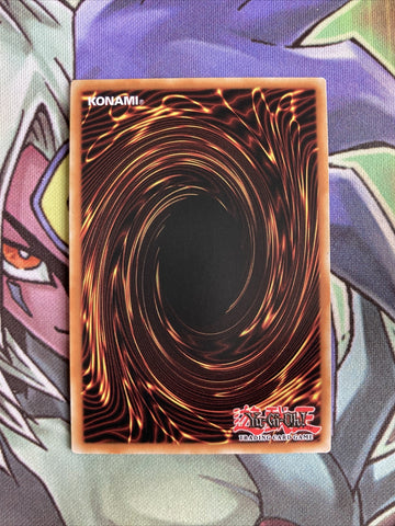 SDSH-EN028 Allure Of Darkness Common 1st Edition NM Yugioh Card (back)