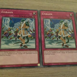 OP11 EN024 Yugioh 3x Eisbahn Common!